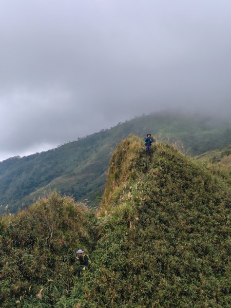 渭水之丘 烘爐地山 抹茶山 三角崙山2938796