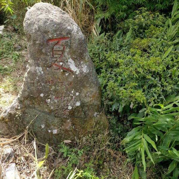 臺北大縱走第二段：二子坪至小油坑2840544