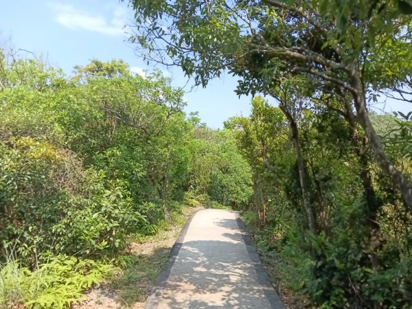 基隆市情人湖步道+老鷹岩+大武崙砲台+大武崙山O型2783543