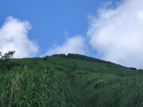 2025.06.28－大屯山連走中正山2823313