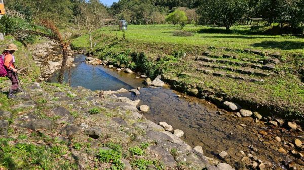 20260214五林縱走3000126