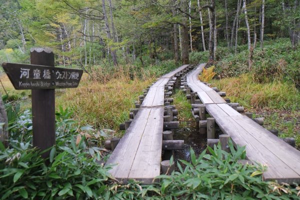 上高地河童橋735580
