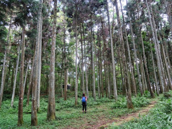 向天湖山、光天高山、三角湖山O繞1725039