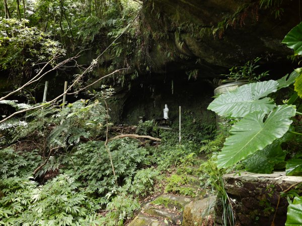 [淡蘭古道] 2026_0523 南路第一段_樹梅古道3069604