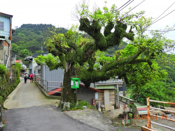 臺北 內湖 龍船岩、開眼山924793