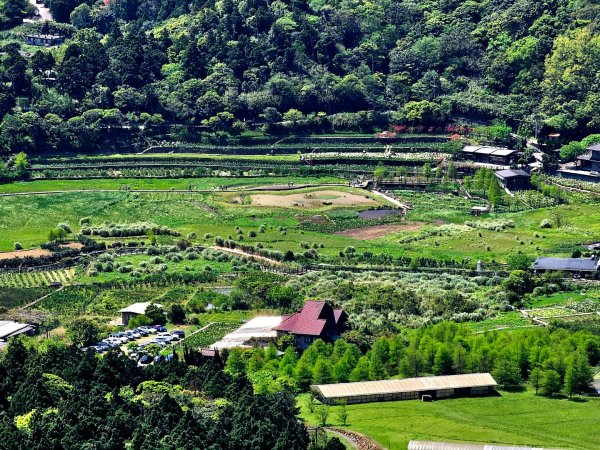 2026年臺北大縱走第三段：小油坑至風櫃口(七星山段)3029528