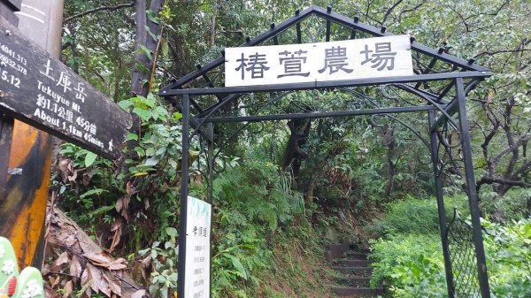 小百岳NO.14 深坑土庫岳。更寮古道 山豬窟尖，小南港山，南港山水綠生態公園2257351
