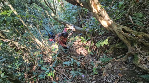 忘憂古道往白石後仙洞由東勢格古道走到平溪國中2908187