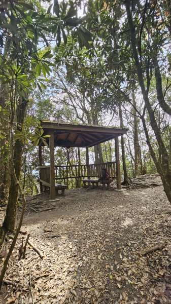 【美美兔走山趣】谷關抓雄-老六白毛2749967