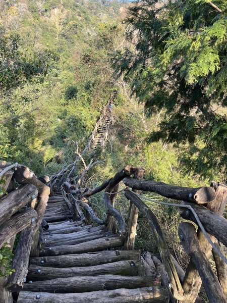 大坑二號步道2711576