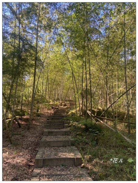 鳳凰谷步道(鹿谷鄉)2690443