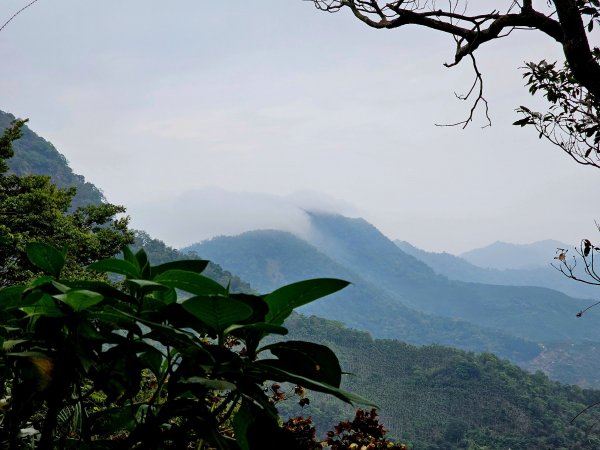 小百岳集起來-關仔嶺大凍山2185140