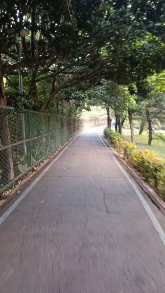 台東市海濱公園2063213