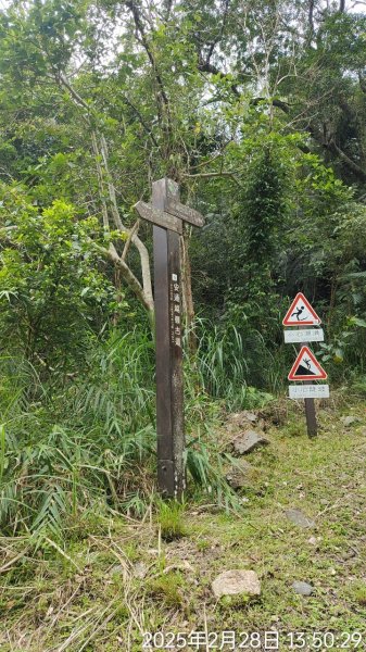 安通越嶺全段2726585