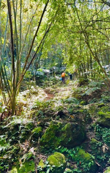 八結古道 頭寮山 慈湖3040530