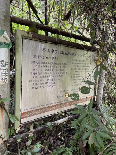 東河線上鵝公髻山，至鳥嘴山後下大窩山部落 2024.8.182577483