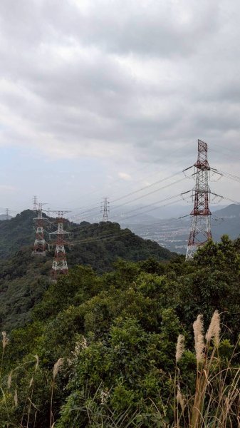 天上山步道2980456