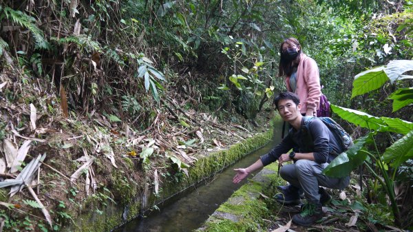 百年環山水圳步道登山健行趣(步道)1555112