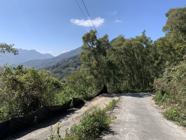 20250228屏東達洼蘭山-下達洼蘭山2732883