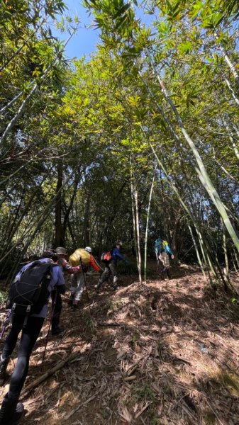 深坑越嶺南港拇指山2377654