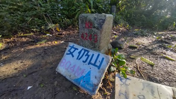 20250203_小百岳女仍山2706848