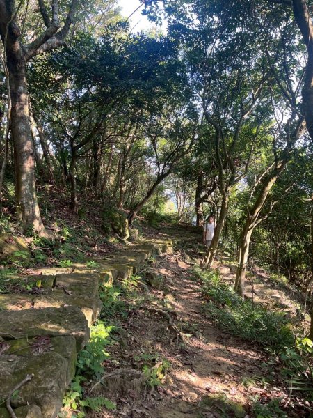 土城頂埔捷運站-大暖尖山-火焰山-承天路-石壁寮溪棧道-永寧捷運站2896452
