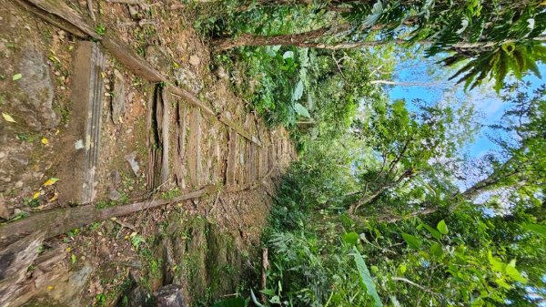 【爬山會爬上癮】五刷小百岳#089鯉魚山。2824756