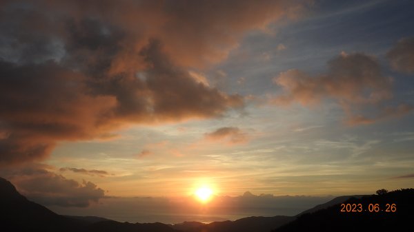 雲山水花鳥蝶 - 天龍國阿伯的日常 6/262195482