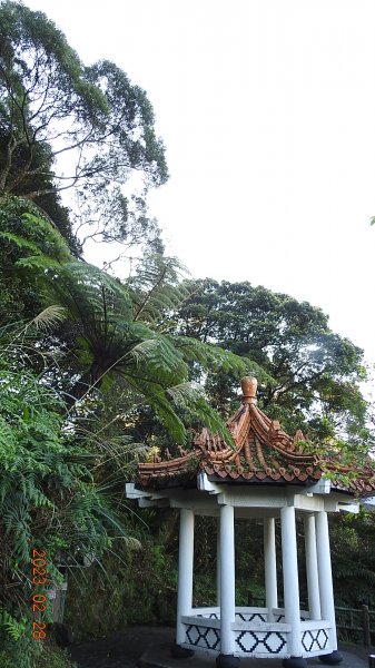 追花是簡單的快樂，賞花是恬淡的幸福。2/282045046