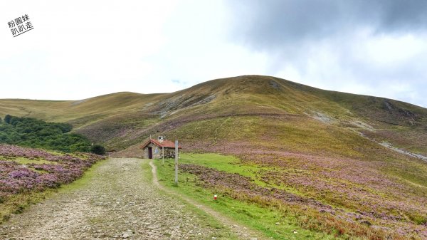 【勇氣2.0朝聖之旅】 D1庇里牛斯山賞雲海652991