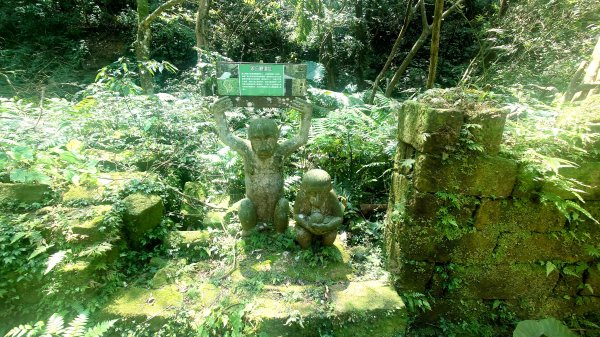 春天鮮綠的呢喃基隆荖寮坑古道上望古山登五分山O型2747319