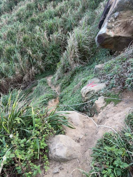 新北 金山 磺港山 獅頭山3000191