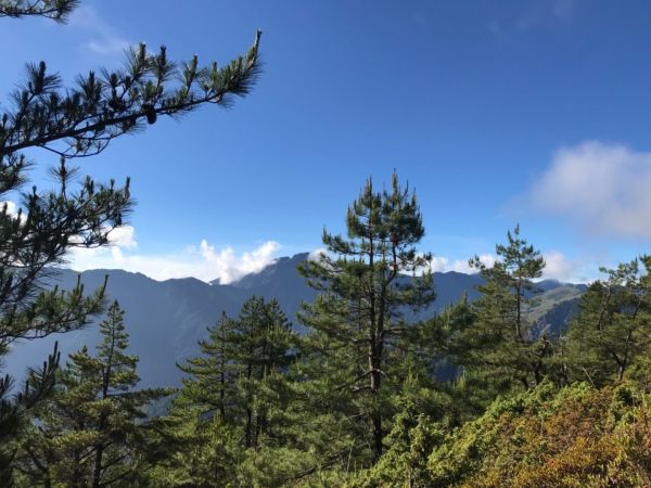 高山上的草原359307