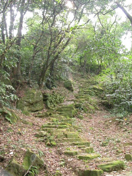 汐止白雲古道／十三分山1959503
