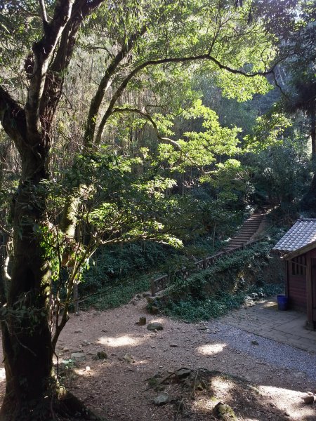 奮起湖~大凍山~霹靂山~雲之道~櫻之道~808737