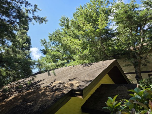 [皮皮獅探險隊-09/10] 2025_0816 野馬瞰山步道2862671