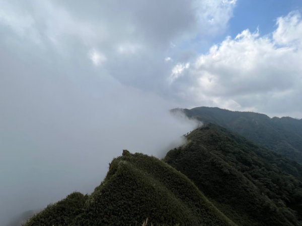 聖母登山步道～抹茶山 🙋新手上山1718844