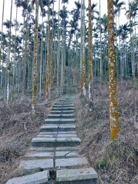 雲嘉五連峰封面