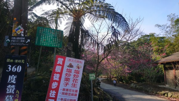 石壁山賞花行1605574