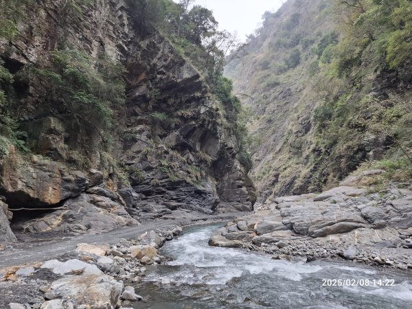 2025.02.08 限時秘境?菜市場? 北港溪峽谷步道2709058