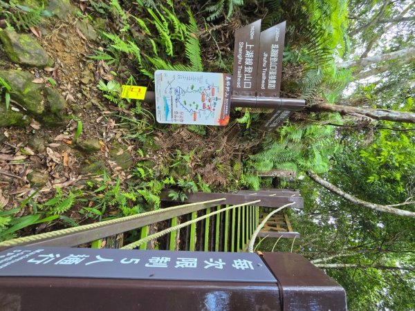 夏日的馬那邦山2786845