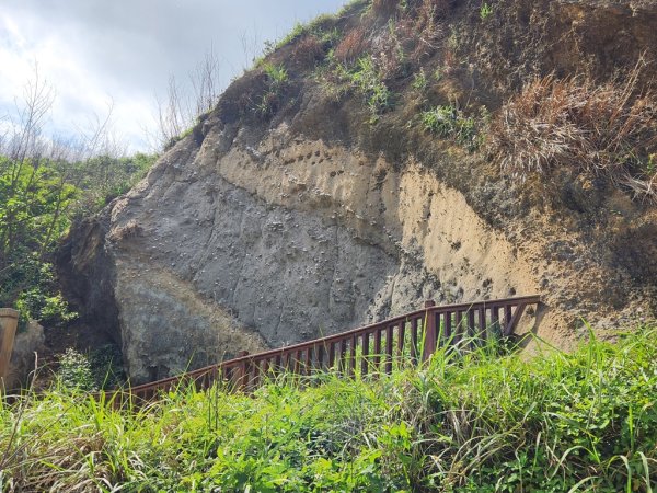 1140419龍港連走白沙屯(含好望角,牧羊古道,舊鐵道,海角樂園,山邊媽,白沙屯)2767283