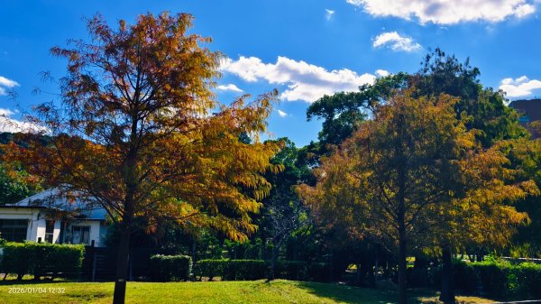 #花卉試驗中心 #永公路500巷 #平菁街42巷 #原住民公園 #士林官邸 1/42976522