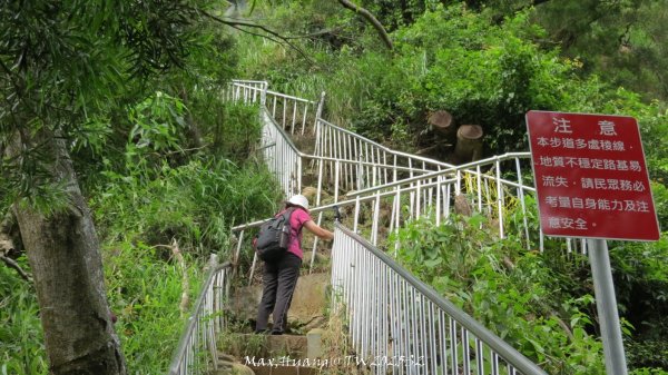 《彰化》稜線雙龍｜田中森林登山步道O型202506292824373