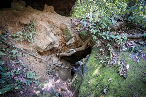 新竹關西鎮 石牛山938205