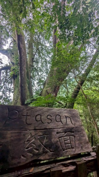 鎮西堡巨木步道群 (B區)2861150