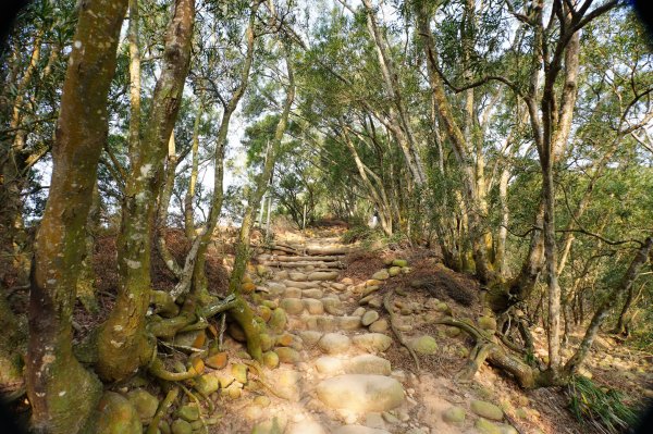 苗栗 三義 火炎山、南火炎山3020867