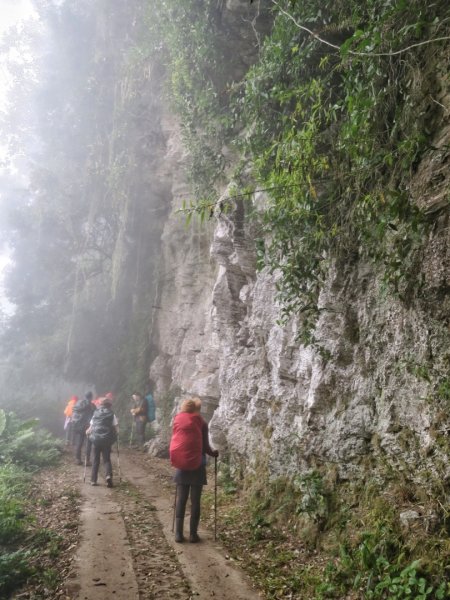 大禮大同部落 千里眼山 砂卡噹步道1295445