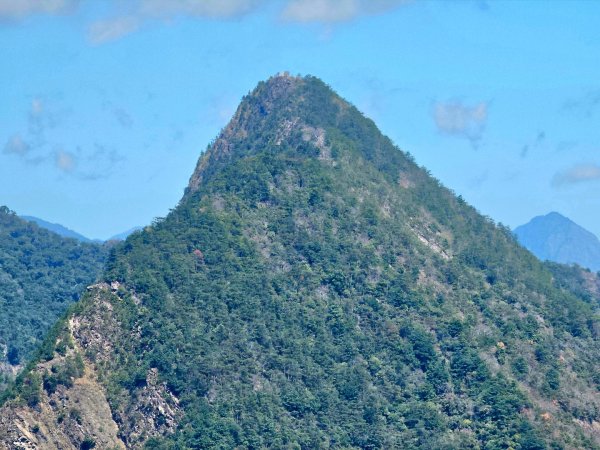 白毛山-谷關七雄(老六)3015231