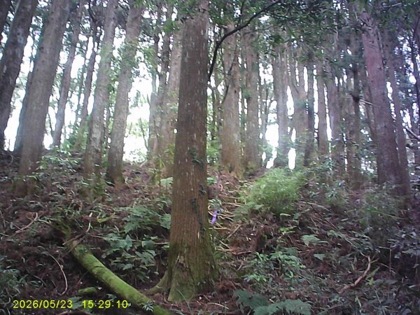 二萬平火車站附近的「屏遮那山」3061541